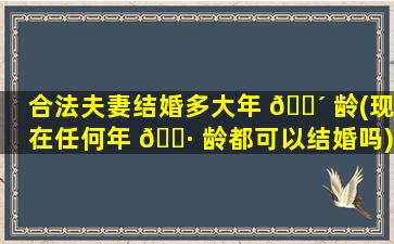 合法夫妻结婚多大年 🌴 龄(现在任何年 🌷 龄都可以结婚吗)